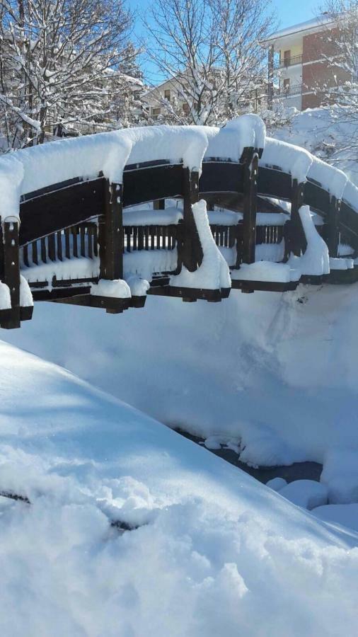 La Tana Del Lupo Daire Entracque Dış mekan fotoğraf